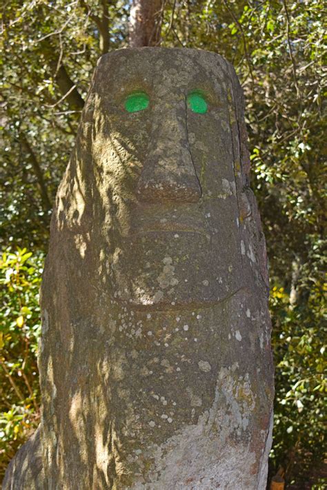 bosque encantado barcelona|El Bosque de Orrius: una excursión un tanto surrealista